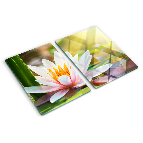 Schneidebrett Seerose im Sonnenlicht