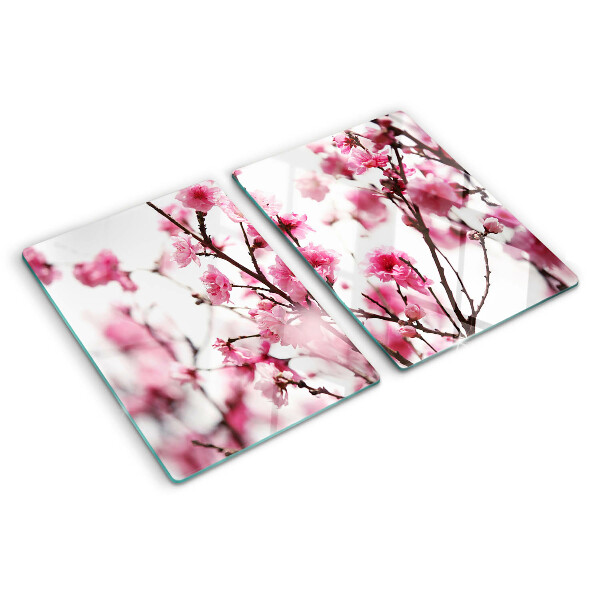Schneidebrett glas Kirschblüten in voller Blüte