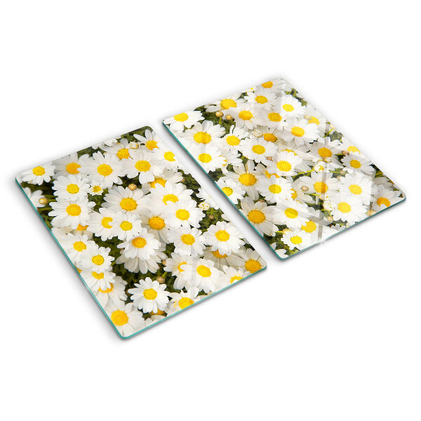 Glas schneidebrett Gänseblümchen auf weißem Hintergrund