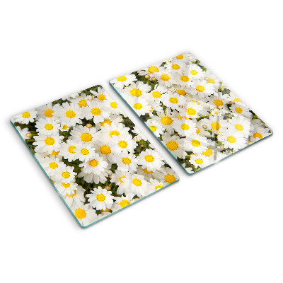 Glas schneidebrett Gänseblümchen auf weißem Hintergrund