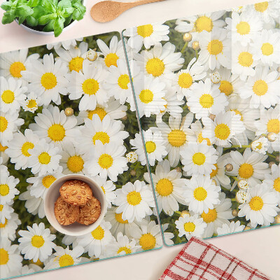 Glas Schneidebrett mit Gänseblümchen auf weißem Hintergrund