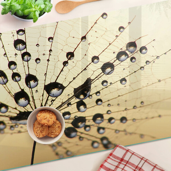 Schneidebrett Wassertropfen auf einem Spinnennetz