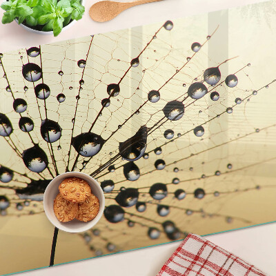 Schneidebrett Wassertropfen auf einem Spinnennetz