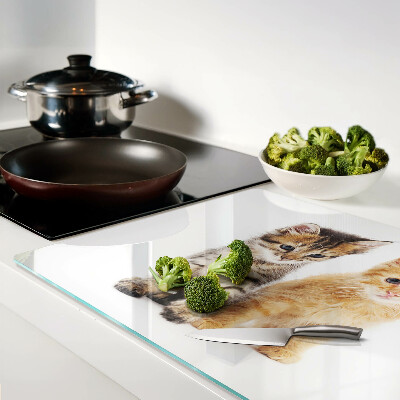 Schneidebrett glas Katzen auf weißem Hintergrund