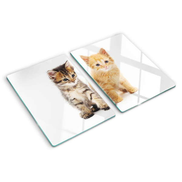 Schneidebrett glas Katzen auf weißem Hintergrund
