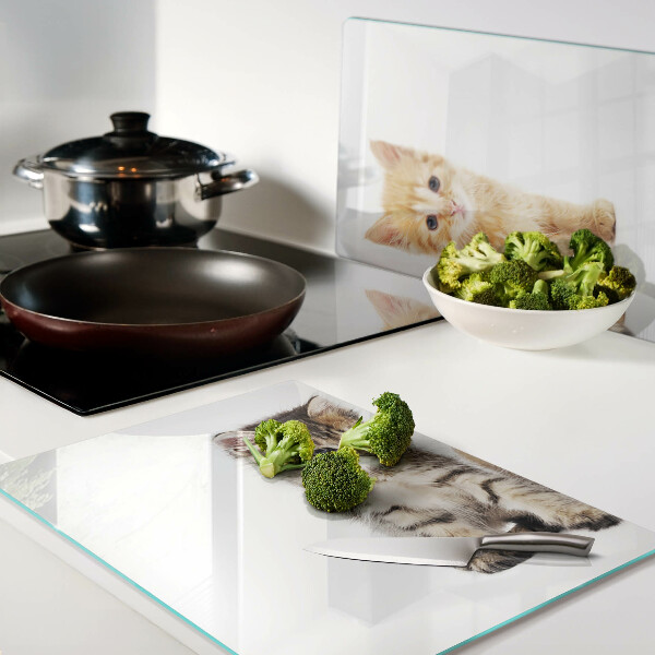 Schneidebrett Glas mit Katzenmotiv auf weißem Hintergrund