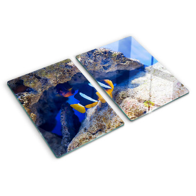 Glas-Schneidebrett mit einem Motiv von Fischen in einem Korallenriff