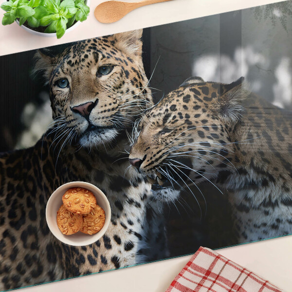 Schneidebrett glas Geparden vor dunklem Hintergrund