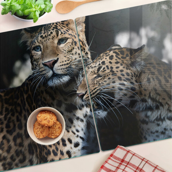 Schneidebrett glas Geparden vor dunklem Hintergrund