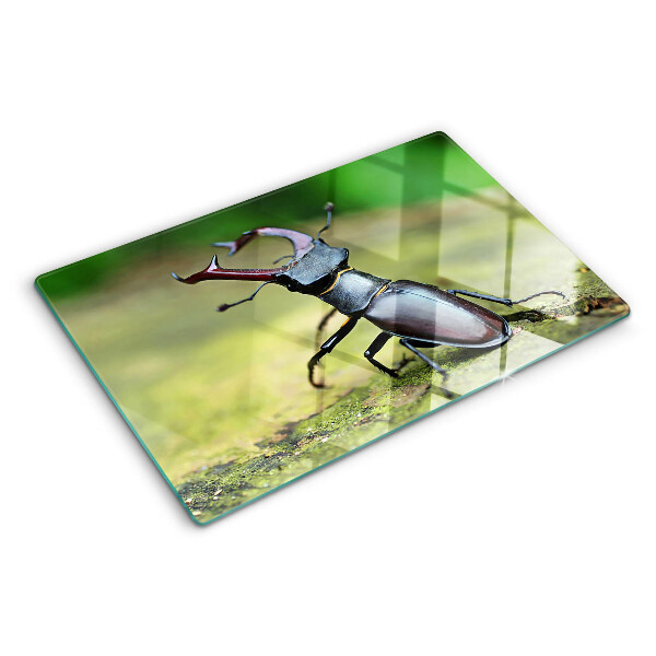 Schneidebrett glas Hirschkäfer auf grünem Hintergrund