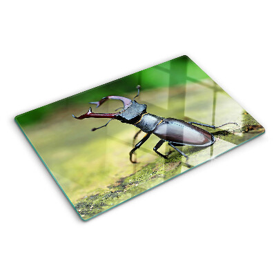 Schneidebrett glas Hirschkäfer auf grünem Hintergrund