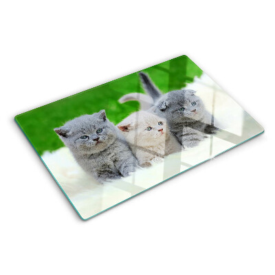 Glas-Schneidebrett mit Kätzchen-Motiv auf grünem Hintergrund