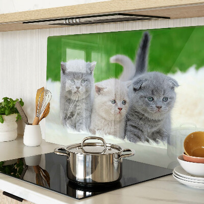 Glas schneidebrett Kätzchen auf grünem Hintergrund
