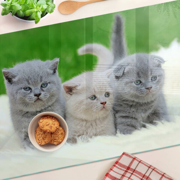 Glas-Schneidebrett mit Kätzchen-Motiv auf grünem Hintergrund