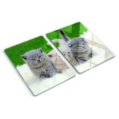 Glas schneidebrett Kätzchen auf grünem Hintergrund