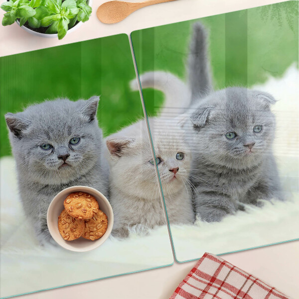 Glas schneidebrett Kätzchen auf grünem Hintergrund