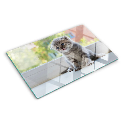 Schneidebrett glas Ein Kätzchen auf der Fensterbank