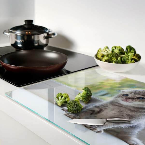 Schneidebrett glas Ein Kätzchen auf der Fensterbank