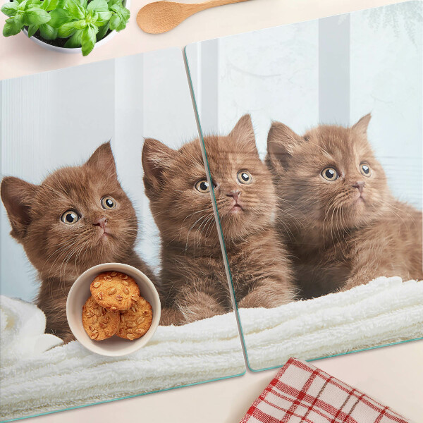 Schneidebrett Drei braune Katzen