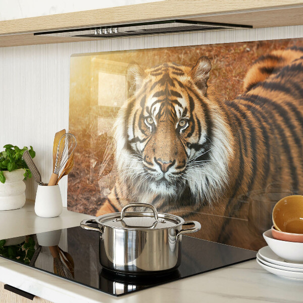 Glas schneidebrett Tiger in den Sonnenstrahlen