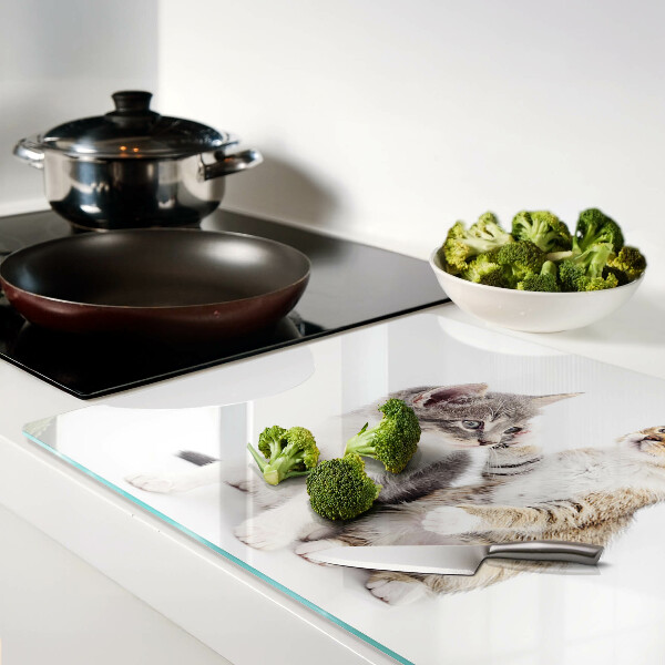 Glas schneidebrett Katzen auf weißem Hintergrund