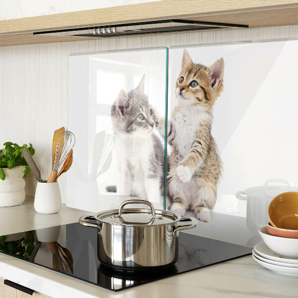 Glas schneidebrett Katzen auf weißem Hintergrund