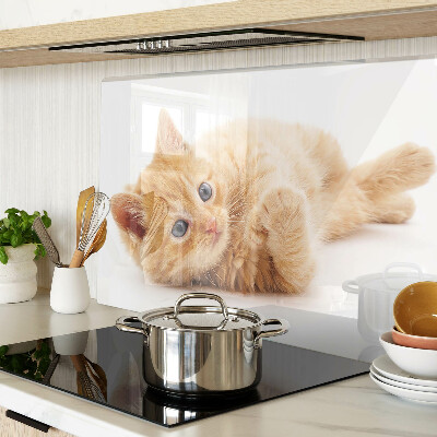 Schneidebrett mit rotem Kätzchen vor weißem Hintergrund