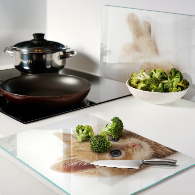 Schneidebrett Rotes Kätzchen vor weißem Hintergrund