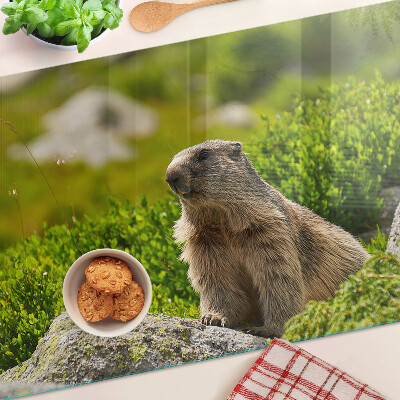 Glas Schneidebrett mit einem Murmeltier vor grünem Grashintergrund