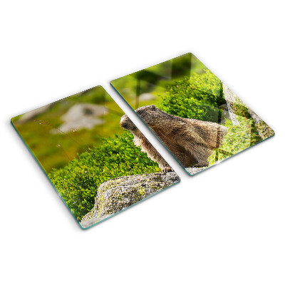 Glas schneidebrett Murmeltier vor grünem Grashintergrund