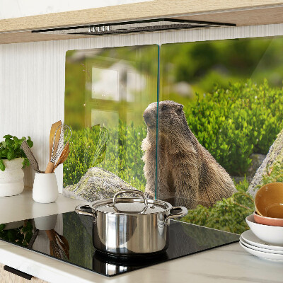 Glas Schneidebrett mit einem Murmeltier vor grünem Grashintergrund