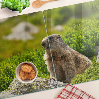 Glas schneidebrett Murmeltier vor grünem Grashintergrund