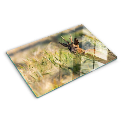 Schneidebrett Ein Kitz auf dem Feld