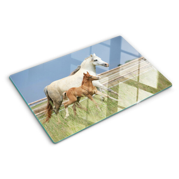 Schneidebrett glas Ein Pferd mit einem Fohlen auf einer Wiese