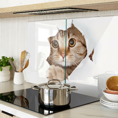 Schneidebrett glas Eine Katze, die aus einem Loch kommt