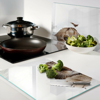 Schneidebrett Glas mit Motiv einer Katze, die aus einem Loch hervorkommt