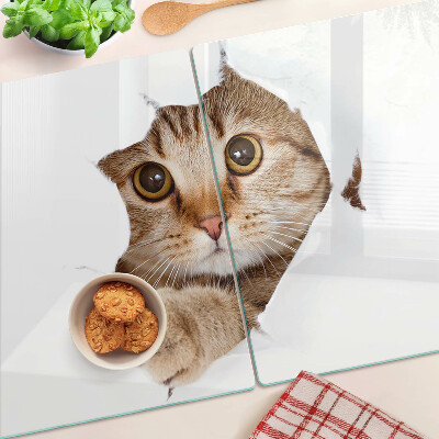 Schneidebrett glas Eine Katze, die aus einem Loch kommt