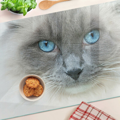 Glas schneidebrett mit Motiv einer Katze mit blauen Augen