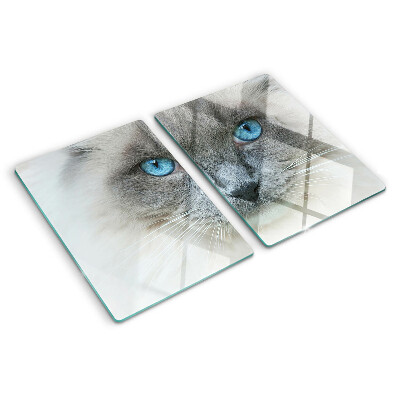 Glas schneidebrett mit Motiv einer Katze mit blauen Augen