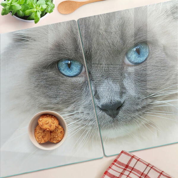 Glas schneidebrett Eine Katze mit blauen Augen
