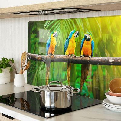 Schneidebrett Papageien auf einem Ast in den Tropen