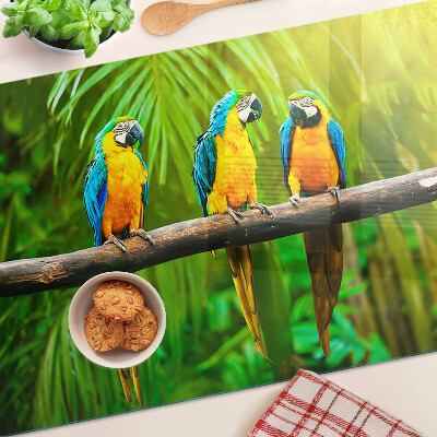 Schneidebrett Papageien auf einem Ast in den Tropen