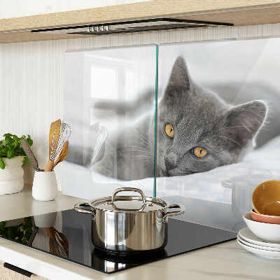 Schneidebrett Eine Katze mit gelben Augen