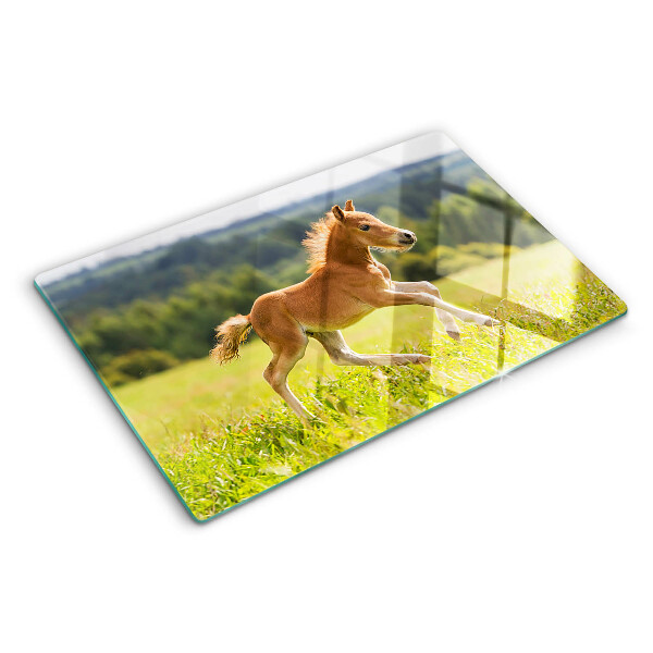 Glas schneidebrett Fohlen auf der Wiese