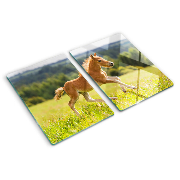 Glas schneidebrett Fohlen auf der Wiese