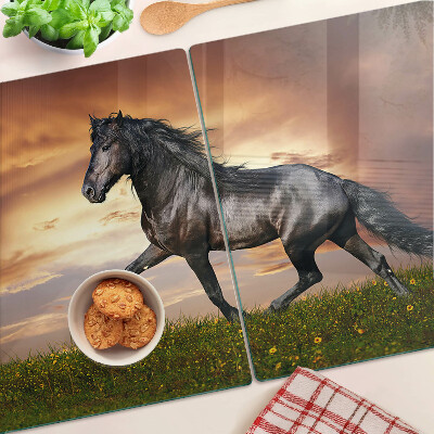 Schneidebrett Ein Pferd vor dem Hintergrund der untergehenden Sonne