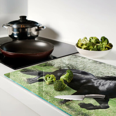 Schneidebrett Glas mit schwarzem Pferd auf der Wiese