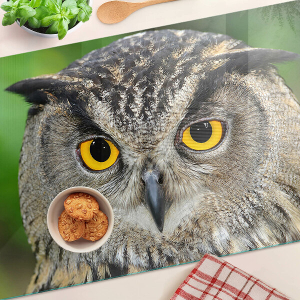 Schneidebrett Glas mit Motiv einer Eule mit ausdrucksstarken Augen