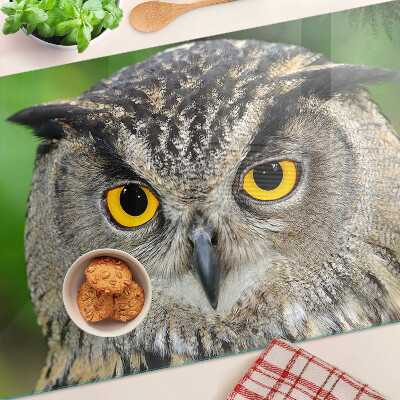 Schneidebrett glas Eine Eule mit ausdrucksstarken Augen