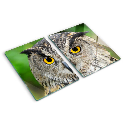 Schneidebrett Glas mit Motiv einer Eule mit ausdrucksstarken Augen